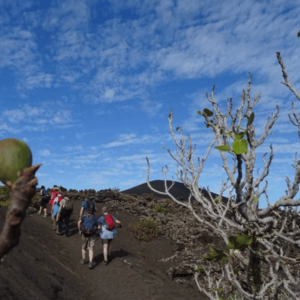 lanzarote-tour-di-trekking-sul-vulcano05